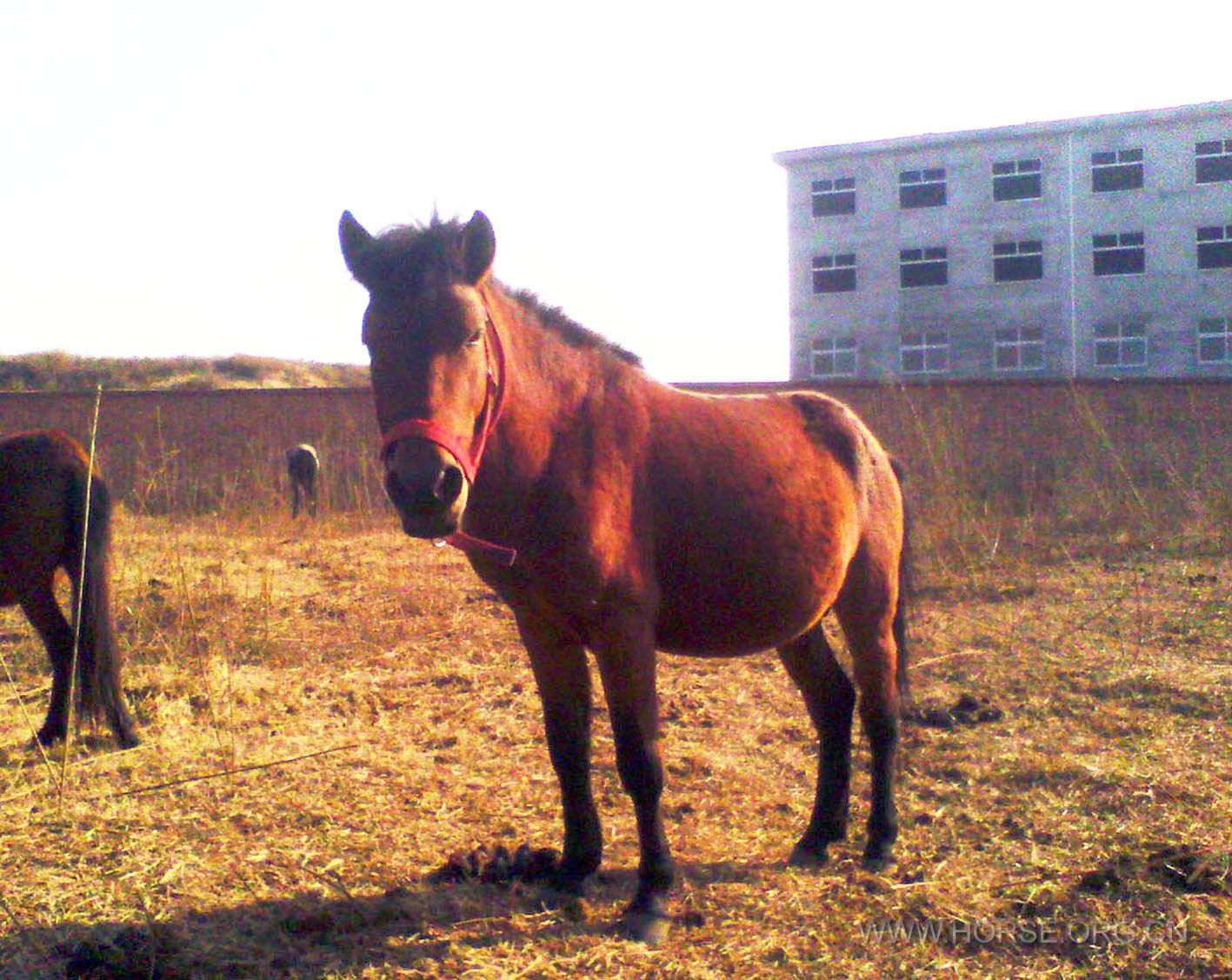 IMG_20131119_142757.jpg
