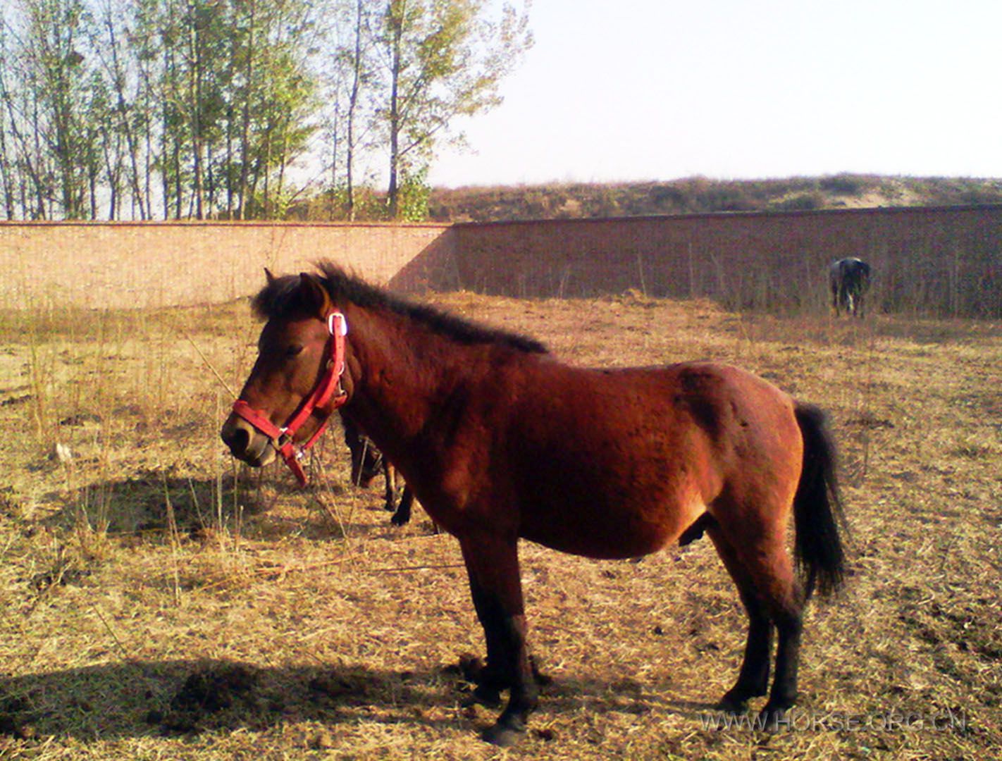IMG_20131119_142737.jpg