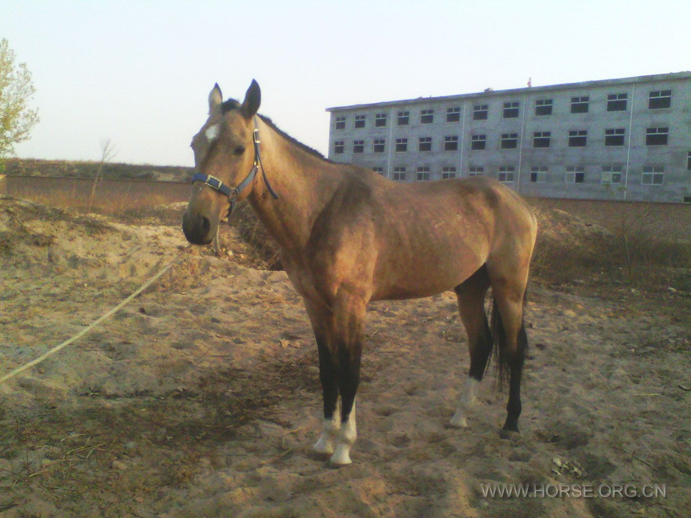 IMG_20131119_160339.jpg