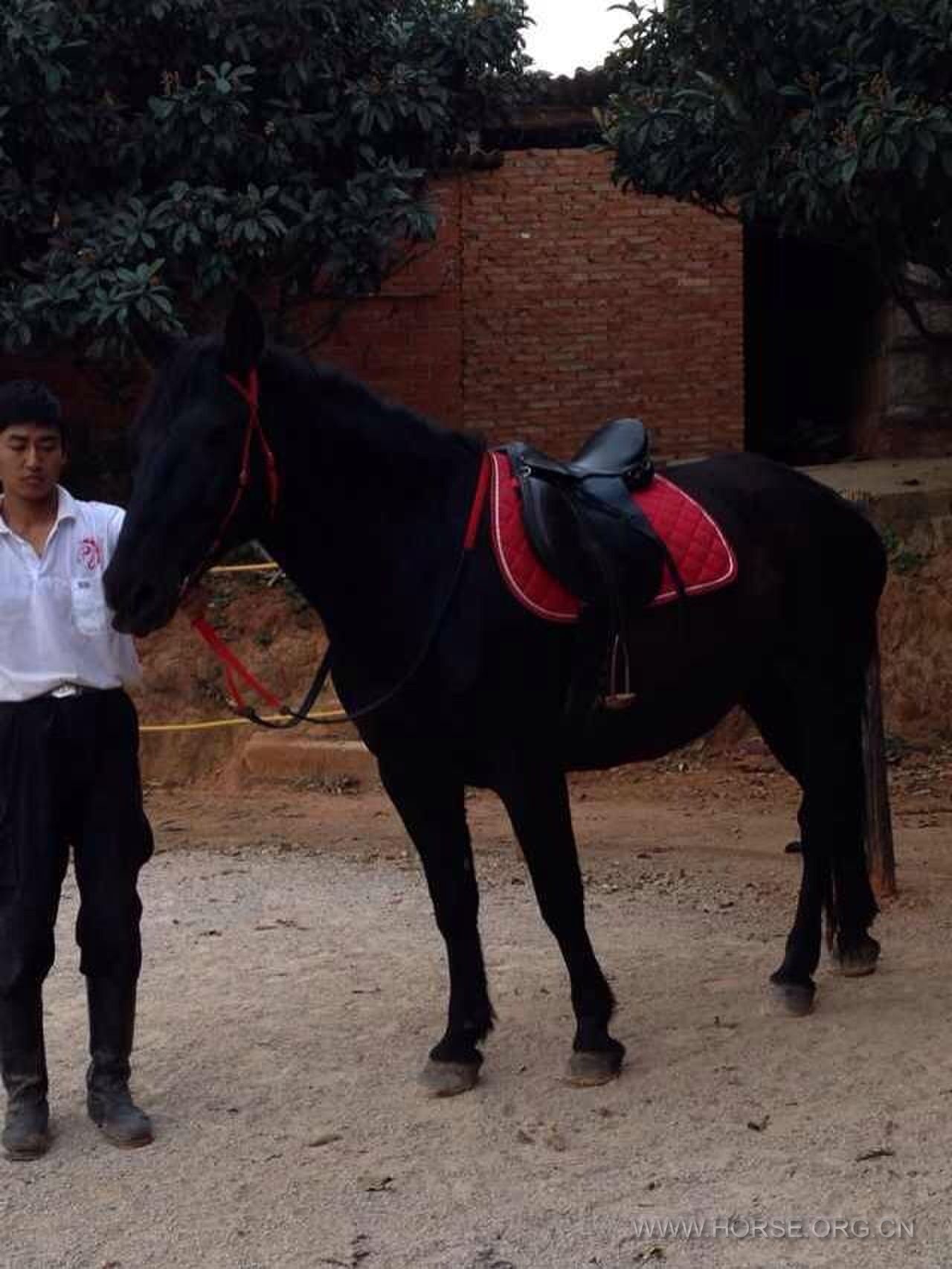 QQ图片20131118181129.jpg