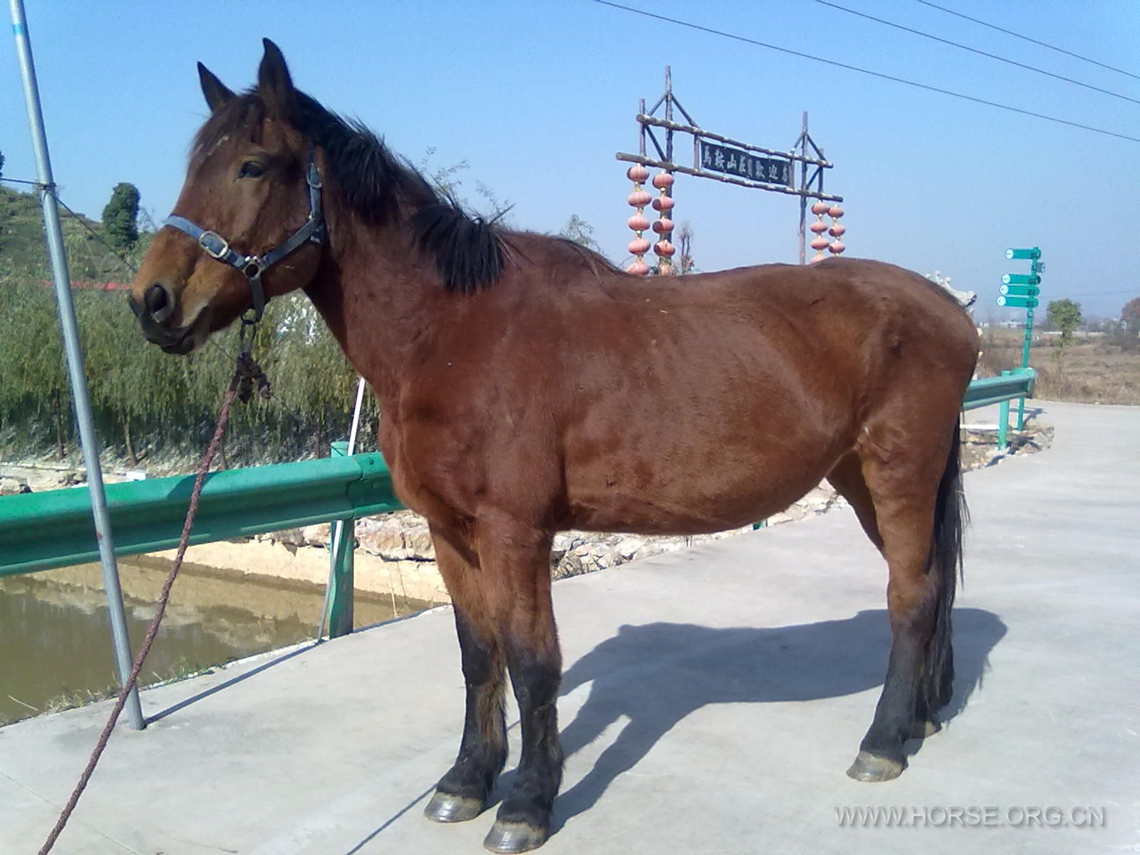201311281181.jpg