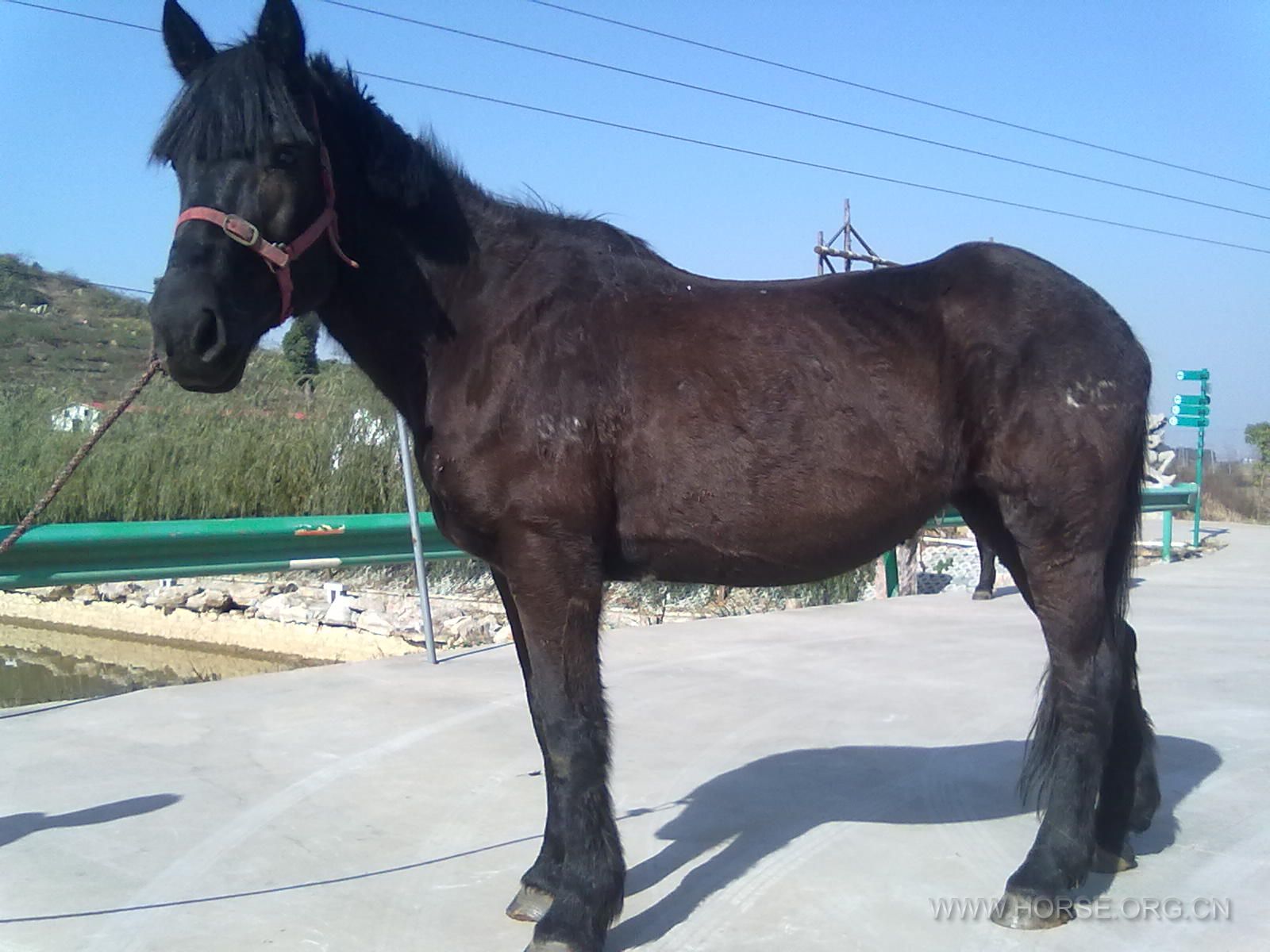 201311281174.jpg