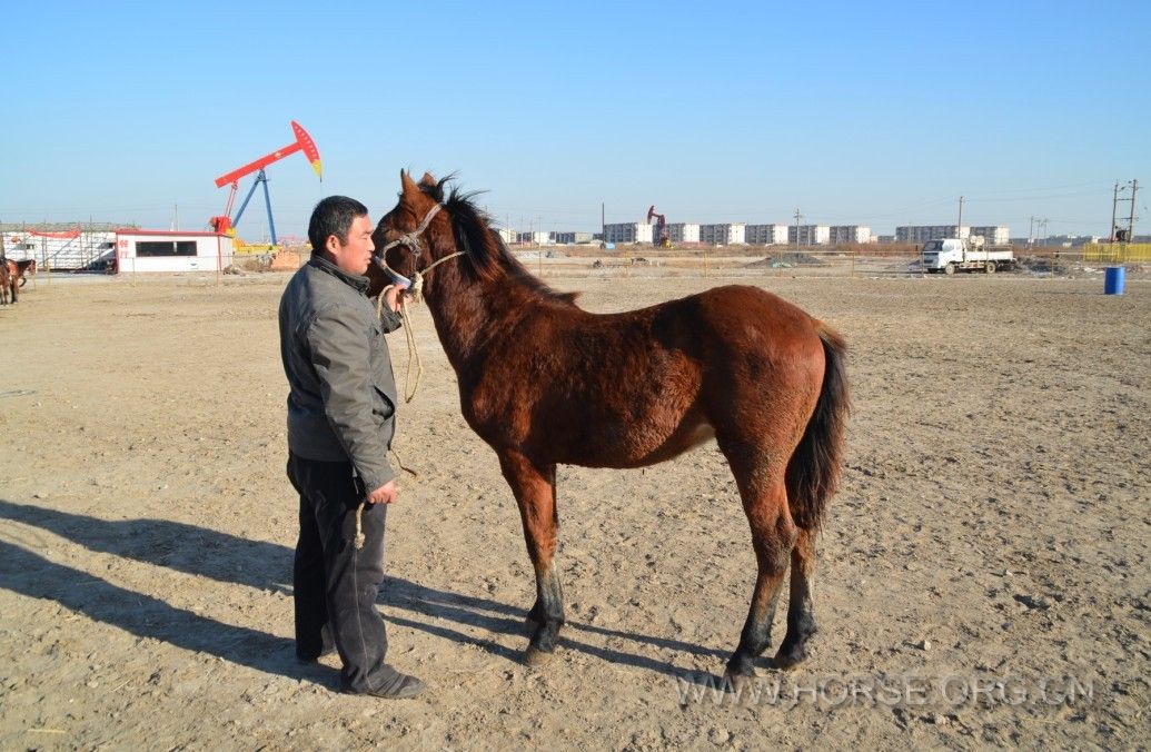 QQ图片20131228175922.jpg
