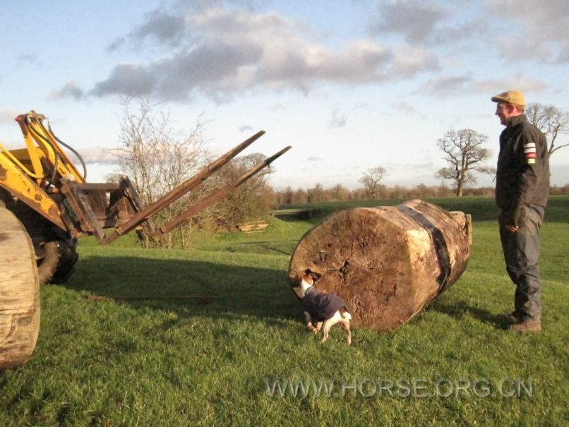 Badminton Horse Trials (39).jpg