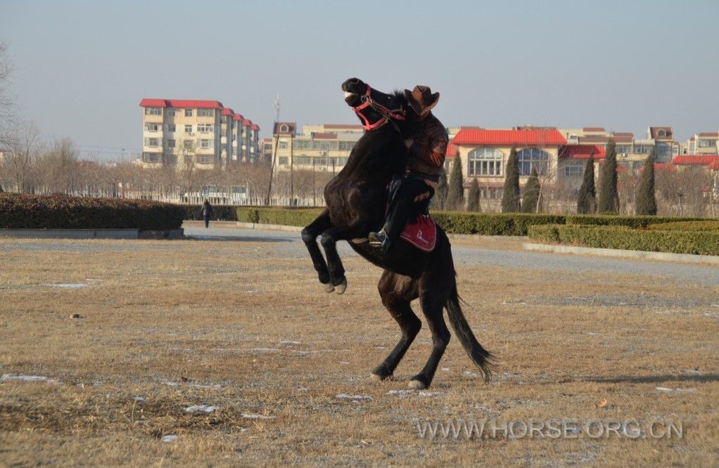 QQ图片20131229193853.jpg