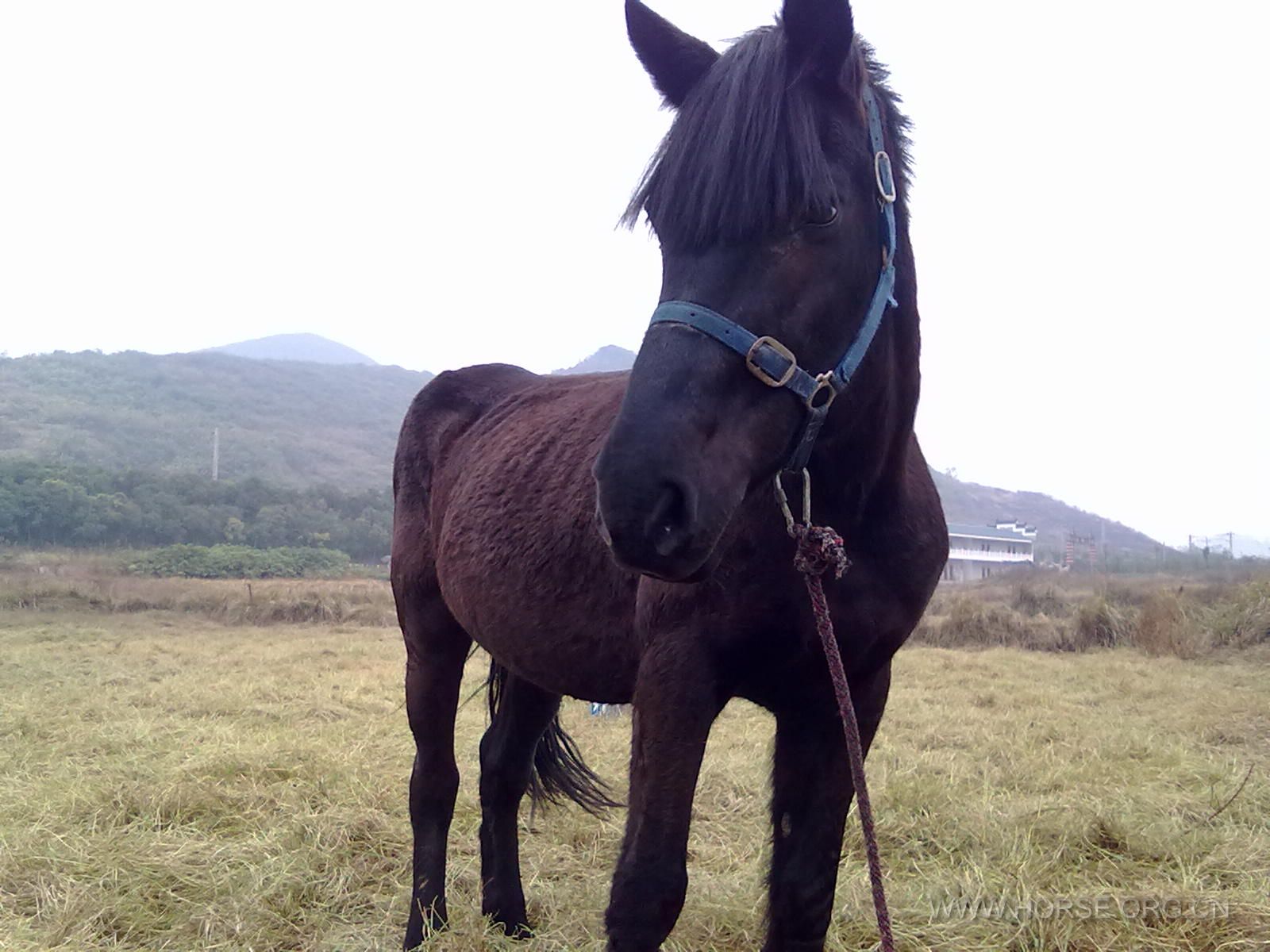 201311131073.jpg