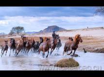 内蒙古—策马扬鞭在坝上草原