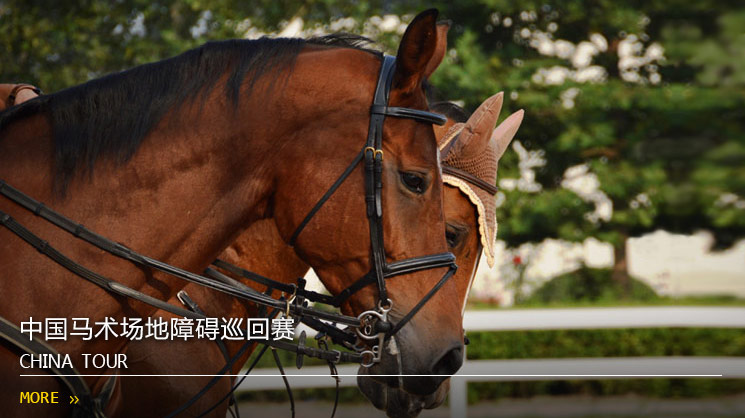 中国马术场地障碍巡回赛专题