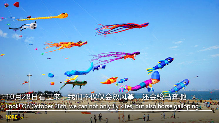 10月28日看过来，我们不仅仅会放风筝，还会骏马奔驰！