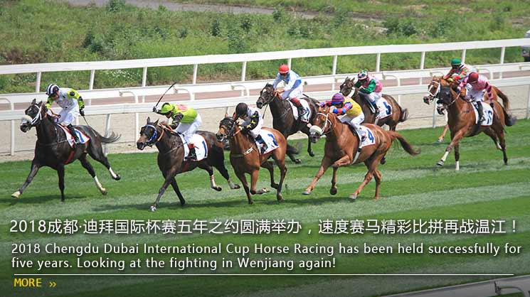 2018成都·迪拜国际杯赛五年之约圆满举办